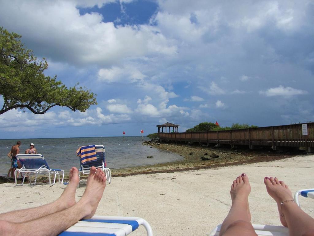 Tropical Daze Oceanfront Paradise Tavernier エクステリア 写真